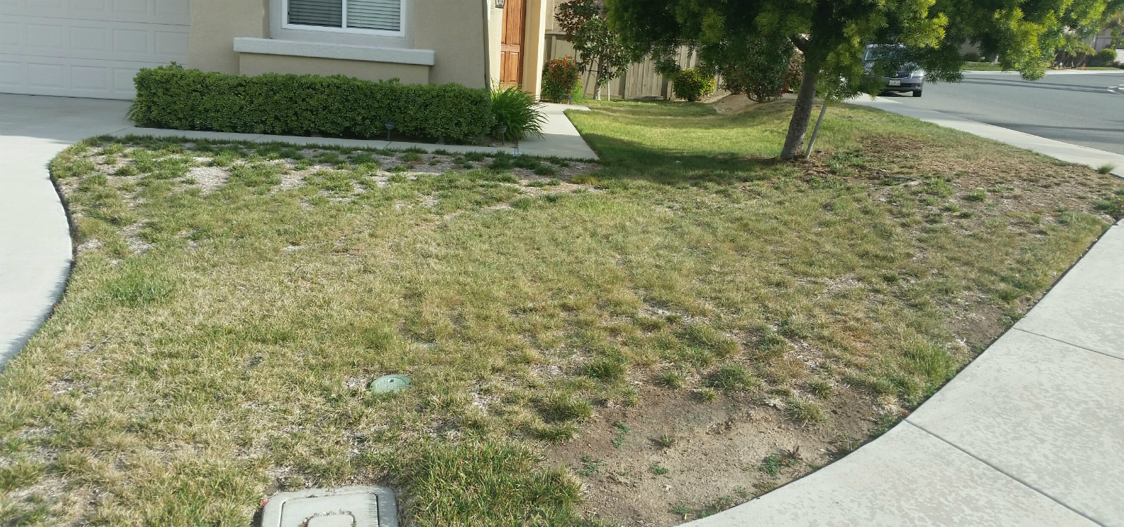 <div class='slider_caption'>		 <h1>Isn't It Time To Replace That Tired Old Lawn?</h1>			<a class='slider-readmore' href='http://www.plantswithaplan.com/index.php/front-yard-facelift/'>Front Yard Facelift</a>
			</div>